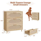 Cassettiera in Rattan a 3 Cassetti per Camera da Letto, Mobile Contenitore in Legno per Camere da Letto, Corridoi, Salotti e Ingressi, Facile da Montare, Naturale
