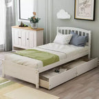 FAMYYT Twin Size Wood Platform Bed With 2 Storage Drawers, Easy Assembly